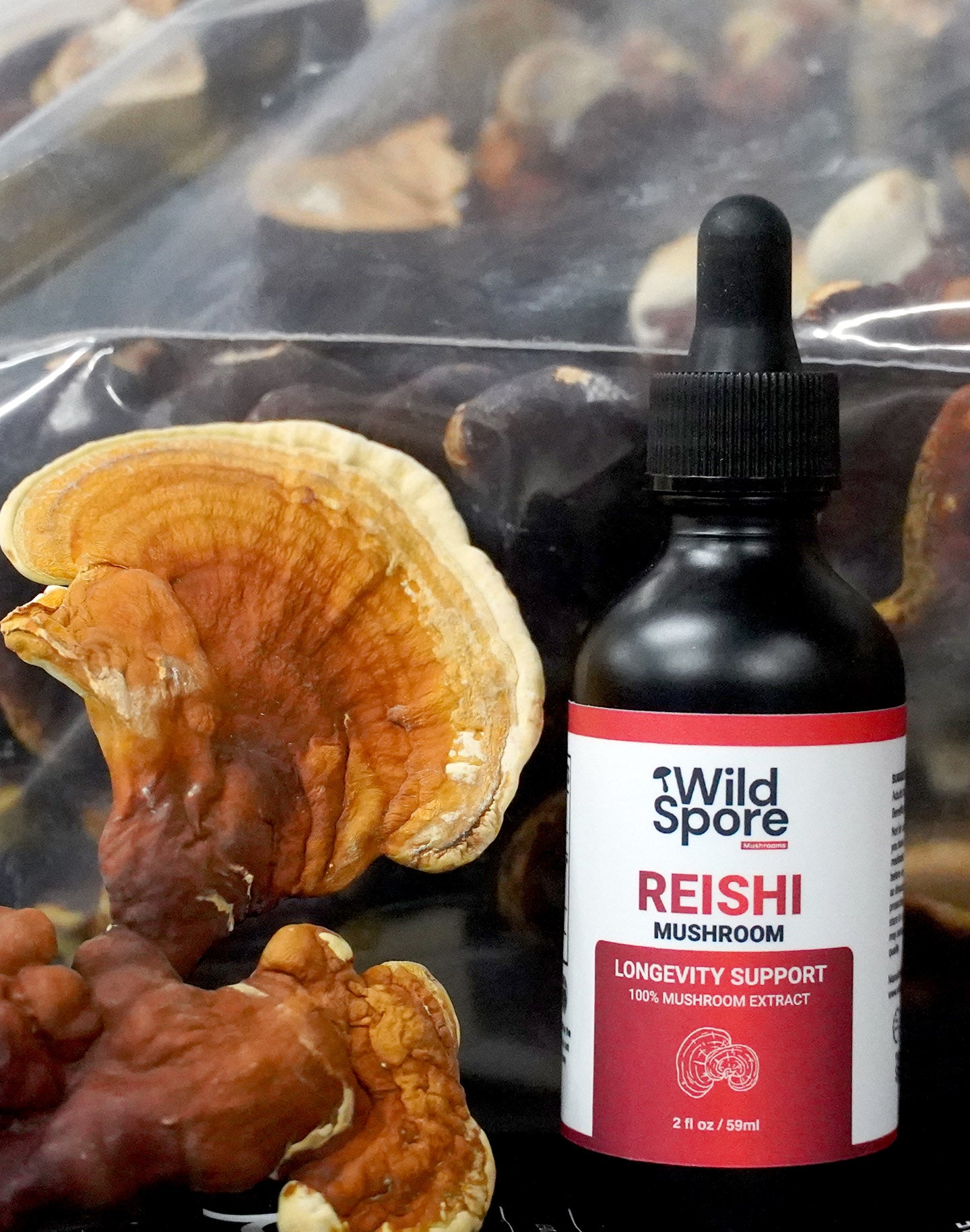 reishi tincture