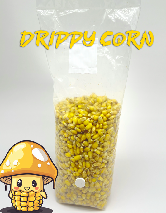 drippy corn