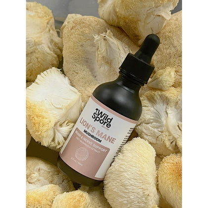 tincture lions mane