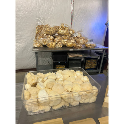 Premium Organic Lion's Mane Mushroom Powder - 100% USA Grown in Tennessee - fruiting bodies only, no mycelium