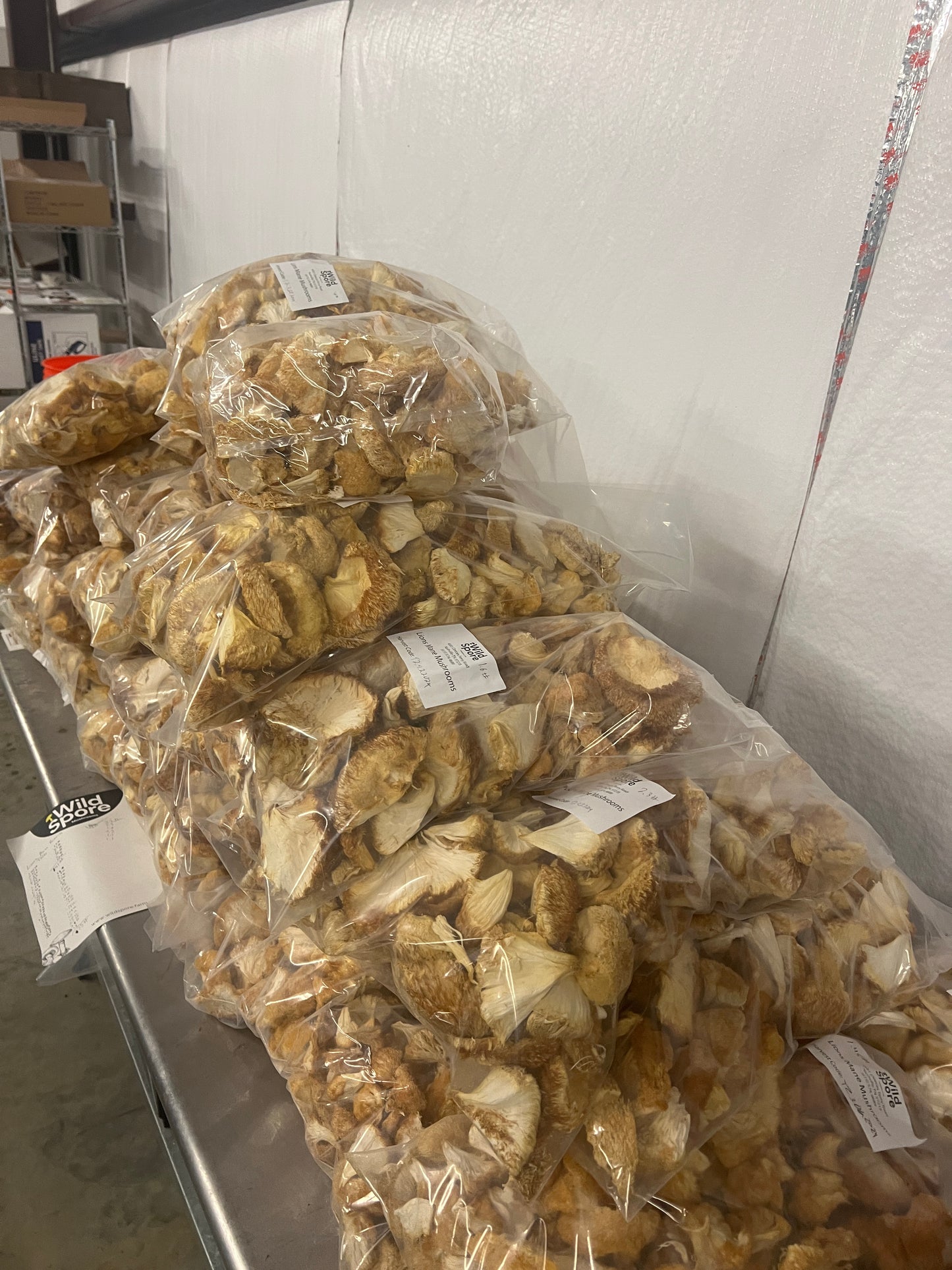 Bulk Lions Mane Dried, Made in Tennessee, Fruiting bodies only