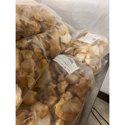 Organic Lions Mane Mushroom Tincture