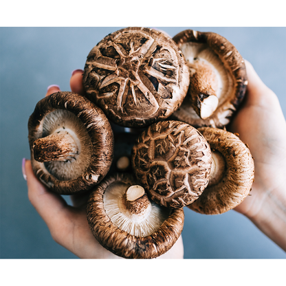 shiitake