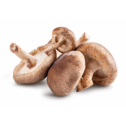 shiitake