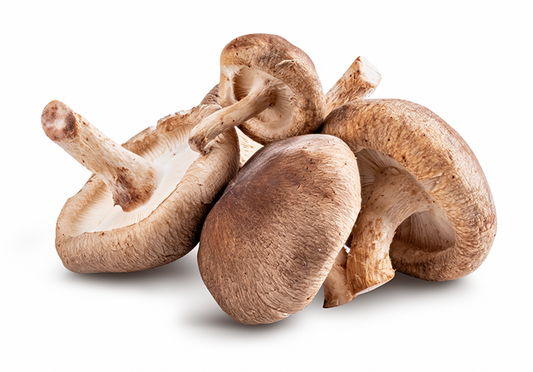 shiitake