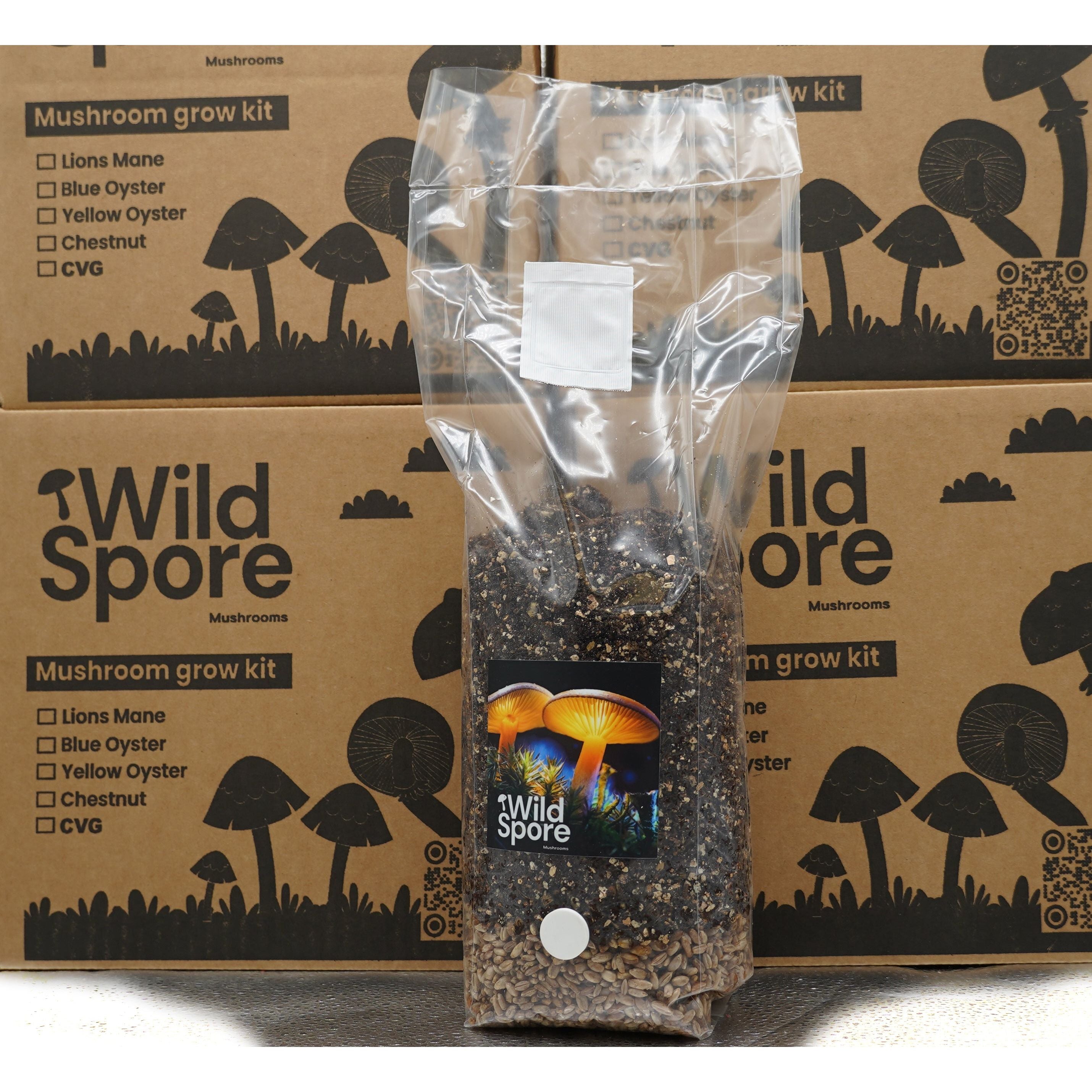 Mushroom Injection All in one CVG grow bag with injection port - Wildspore Mushrooms