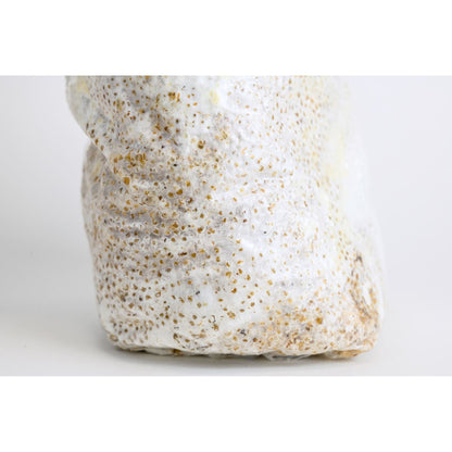 Innoculated Grain Spawn (Lions Mane)