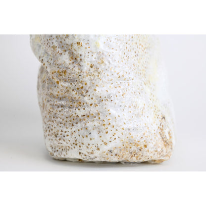Innoculated Grain Spawn (Italian Oyster Mushrooms)