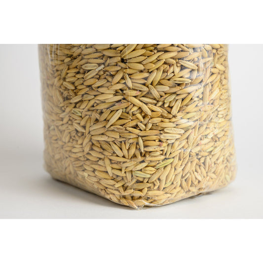 Rye Mushroom Grain Spawn Bags | Premium OMRI Rye Substrate for Fungi Cultivation