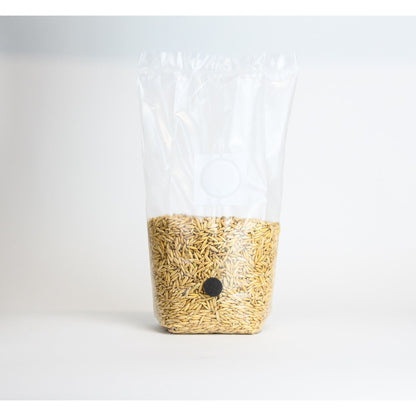 Sterilized Oat Grain Bag with Injection Port