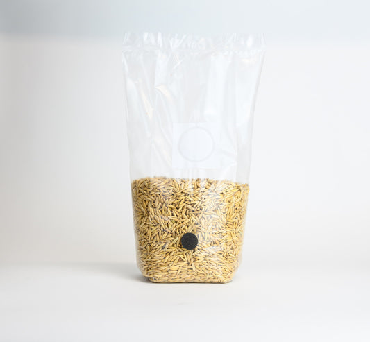 Sterilized Oat Grain Bag with Injection Port