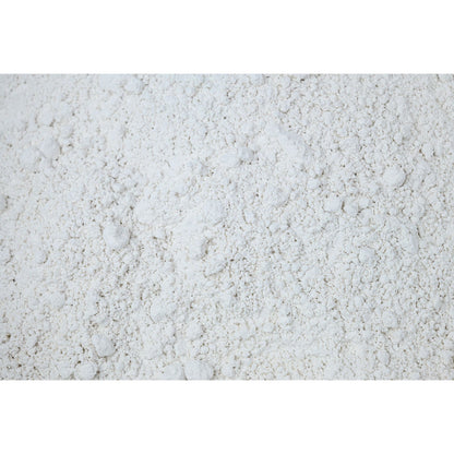 Mycology Grade Gypsum