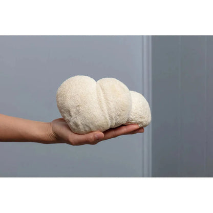 lions mane grow kit