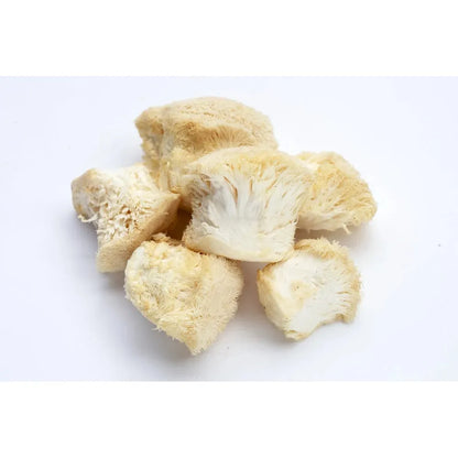 Lions Mane Grow kit (Hericium Erinaceus) grow kit educational, certified organic by MOSA