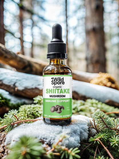 Tennessee Grown Shiitake Mushroom Tincture