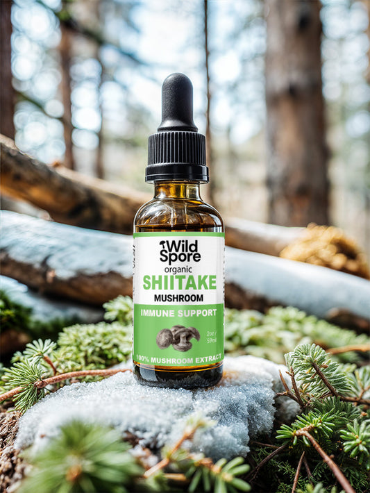 Tennessee Grown Shiitake Mushroom Tincture