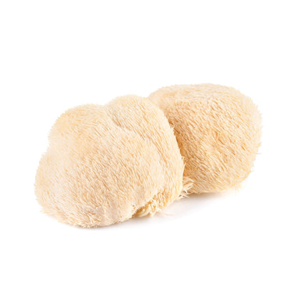 Organic Lions Mane Mushroom Tincture