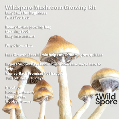 mushroom info