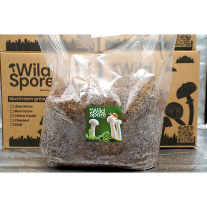 Hardwood Substrate 'Masters Mix' Bag