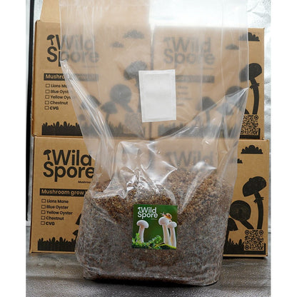 Hardwood Substrate 'Masters Mix' Bag